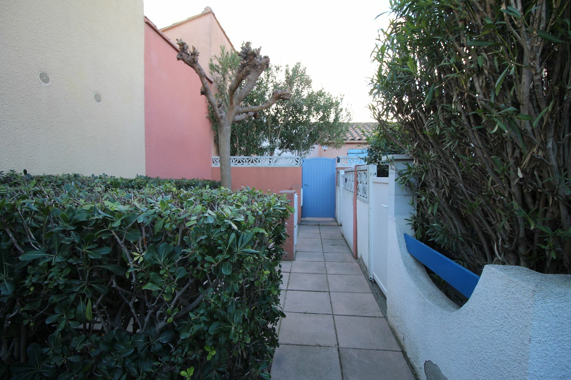 Appartement Charmant A Canet En Roussillon 36 M² Piscine Partagee Buitenkant foto